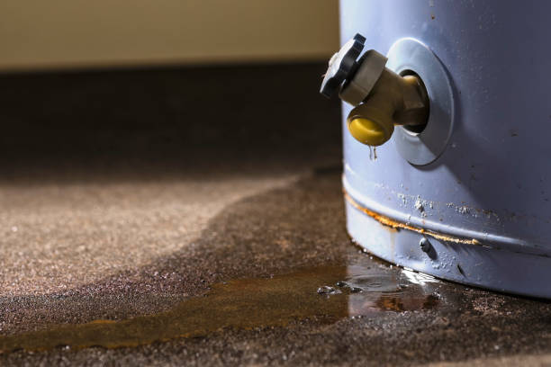 Best Water damage restoration insurance claims  in Nephi, UT