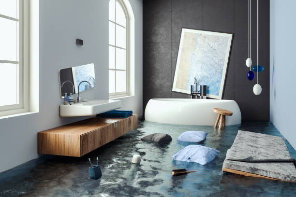 Best 24/7 water damage repair  in Nephi, UT