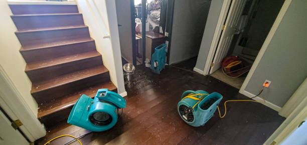 Best Flooded house restoration  in Nephi, UT