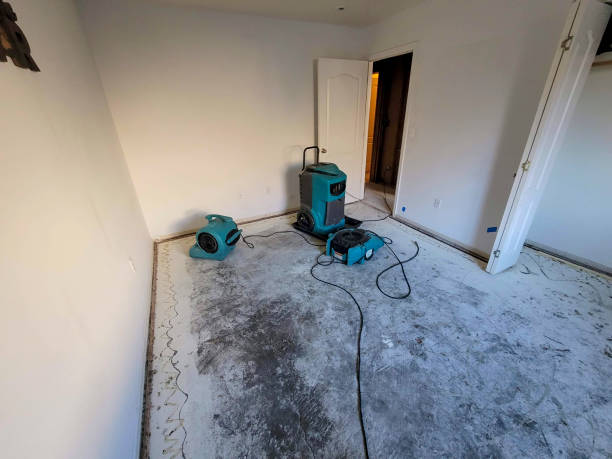 Best Local water damage restoration  in Nephi, UT