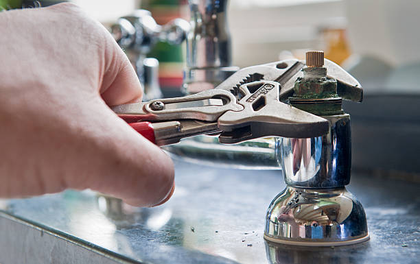 Best Professional water damage repair  in Nephi, UT