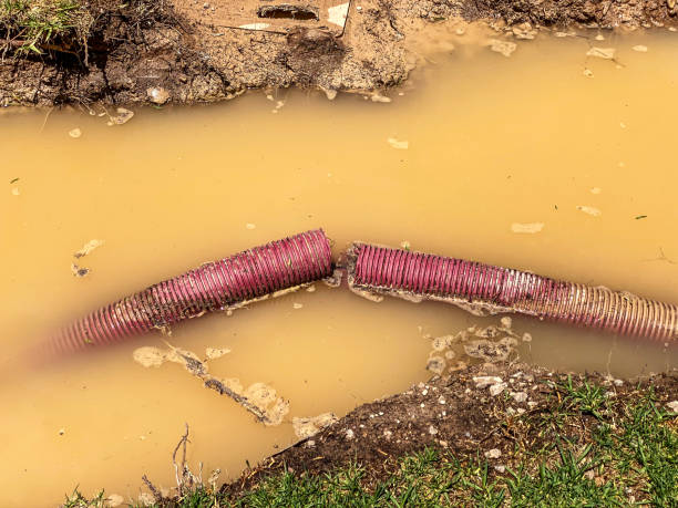 Best Water damage cleanup near me  in Nephi, UT